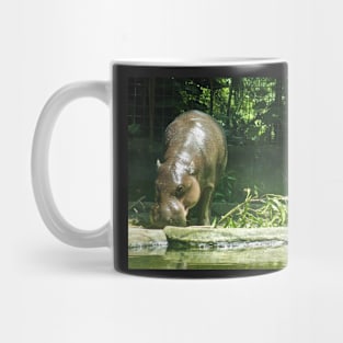 Pygmy Hippo Mug